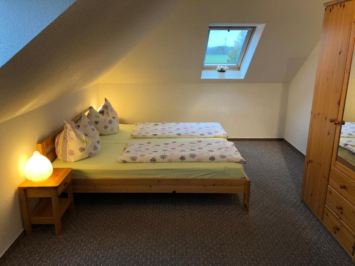 Graureiher Wieck Buitenkant foto
