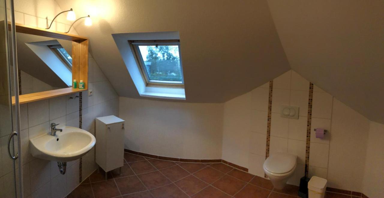 Graureiher Wieck Buitenkant foto